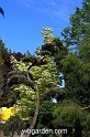 wbgarden spring 30